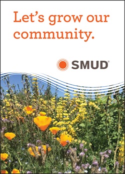 Image of seed packet showing native flowers with the text "Let's grow our community"