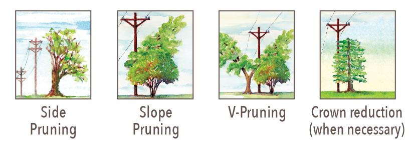 tree pruning strategies